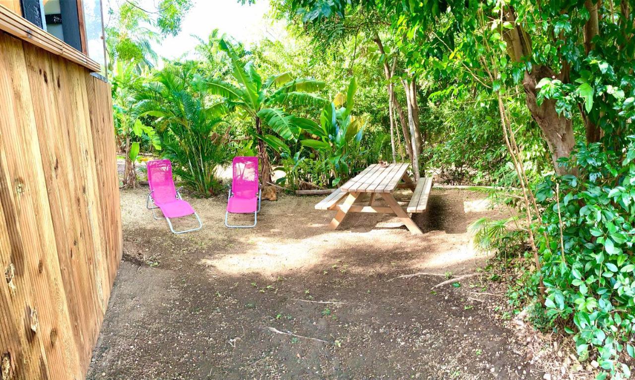 Lodge Colibris Piscine Privee Vue Panoramique Mer Et Montagne Pelee , 500 M Plage Dans Un Parc , Calme Assure Ideal Pour Decouvrir Le Nord Caraibes Le Carbet Exterior foto